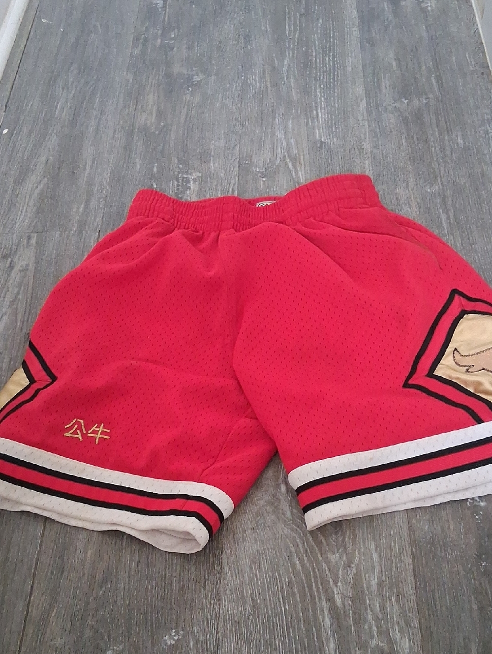 Mitchell And Ness Chicago Bull Red Athletic Mesh Shorts with Embroidered Detail